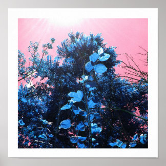 Poster Em Meus Blues