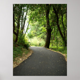 Póster Em torno da curva