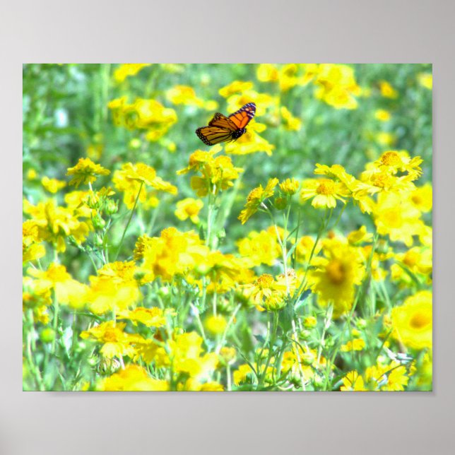 Poster Em Voo (Frente)