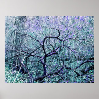 Poster Emaranhado em Azul