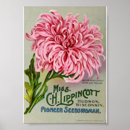 Poster Embalagem De Sementes De Flor Vintage, Cerca De 19