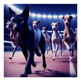 Póster Embalagem Líder De Gato Preto De Cães Na Faixa De 