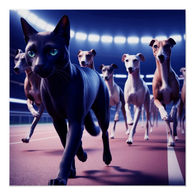 Póster Embalagem Líder De Gato Preto De Cães Na Faixa De  (Frente)