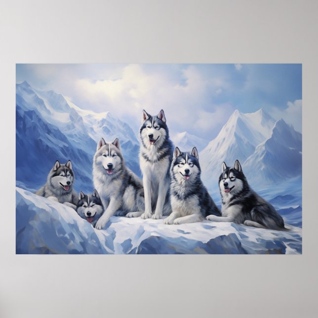 Poster Embalagem Siberian Husky (Frente)