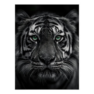 Póster Emerald-Eyed Tiger Portrait - Black and White