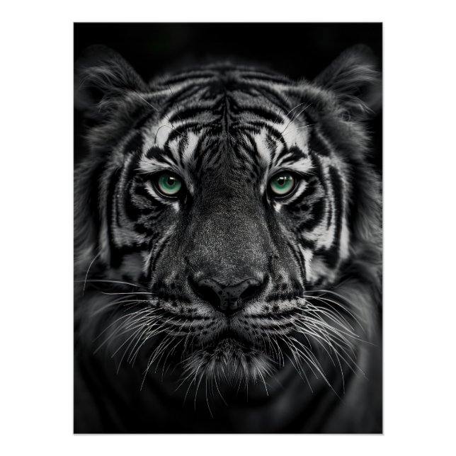 Póster Emerald-Eyed Tiger Portrait - Black and White (Frente)