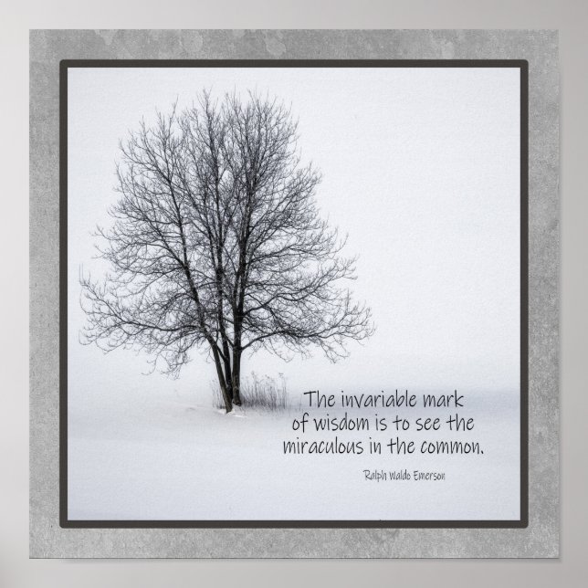 Poster Emerson Cita Ver o milagre (Frente)