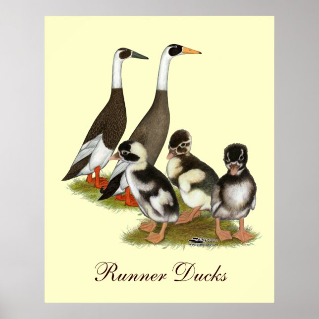Póster Emery Penciled Runner Duck Family (Frente)