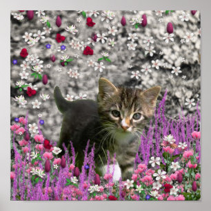 Poster Emma nas flores mim - pouco gato cinzento do