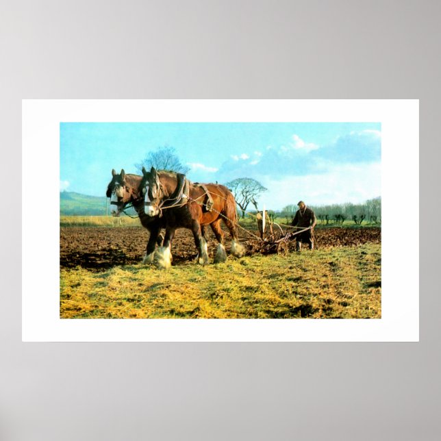 Póster Emparelhamento (Frente)