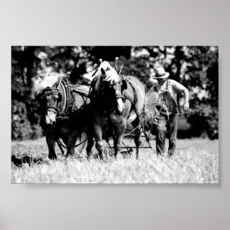 Póster Emparelhamento