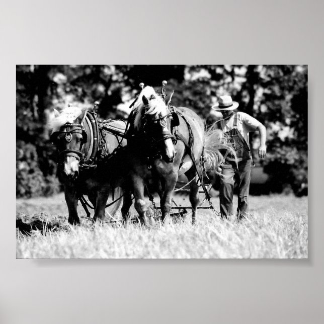 Póster Emparelhamento (Frente)