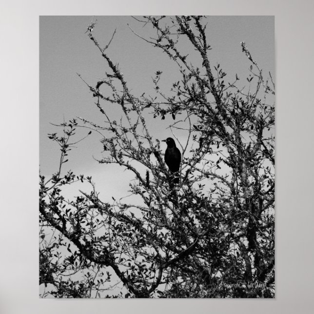 Póster Empilhar (Frente)