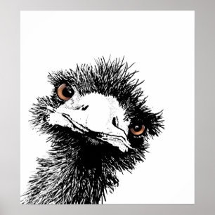 Póster Emu - caneta e tinta