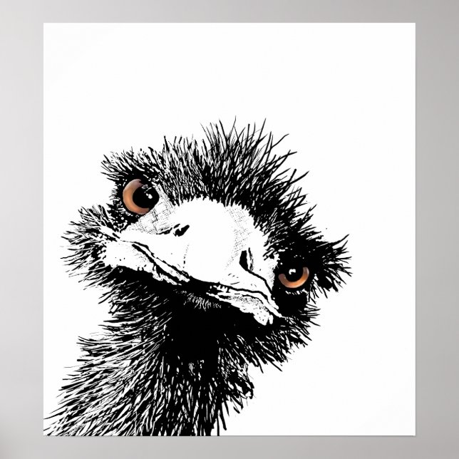 Póster Emu - Caneta e Tinta (Frente)