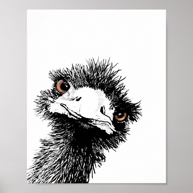 Póster Emu – Caneta e Tinta (Frente)