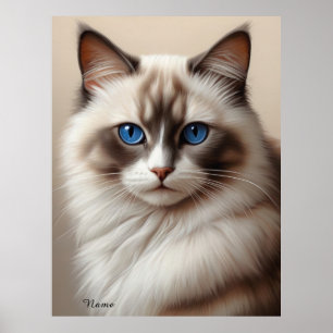 Poster Encantador Ragdoll Cat Art Pet Lover