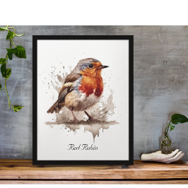 Poster Encantadora Robin, costume