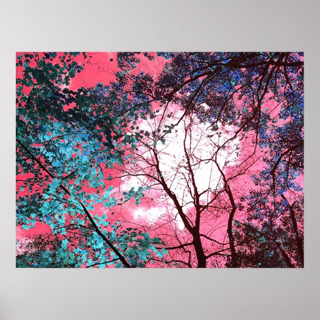 Poster Enchanted   (Frente)