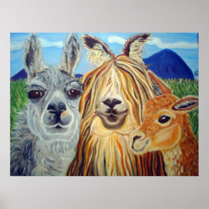 POSTER ENCONTRO COM LLAMAS:LLAMA,ALPACA,VICUNA!!