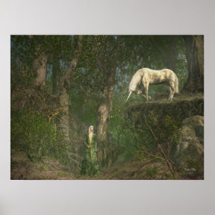 Póster Encontro da floresta