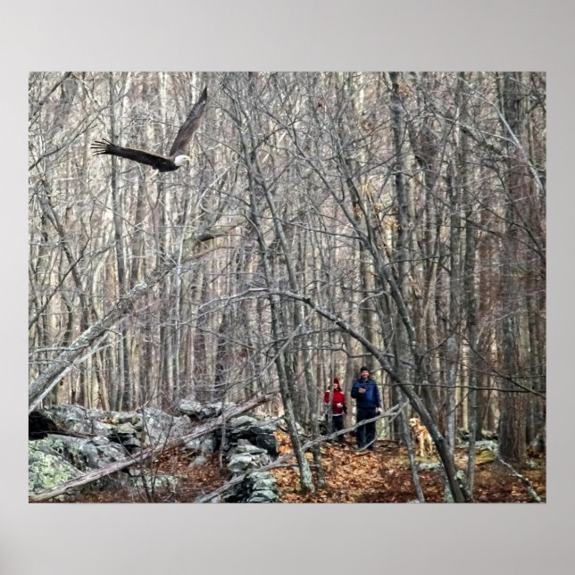 Póster Encontro de Águia Balda (Frente)