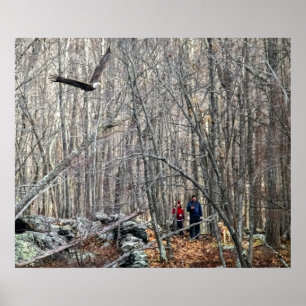 Póster Encontro de Águia Cálida