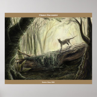 Póster Encontro de Chance