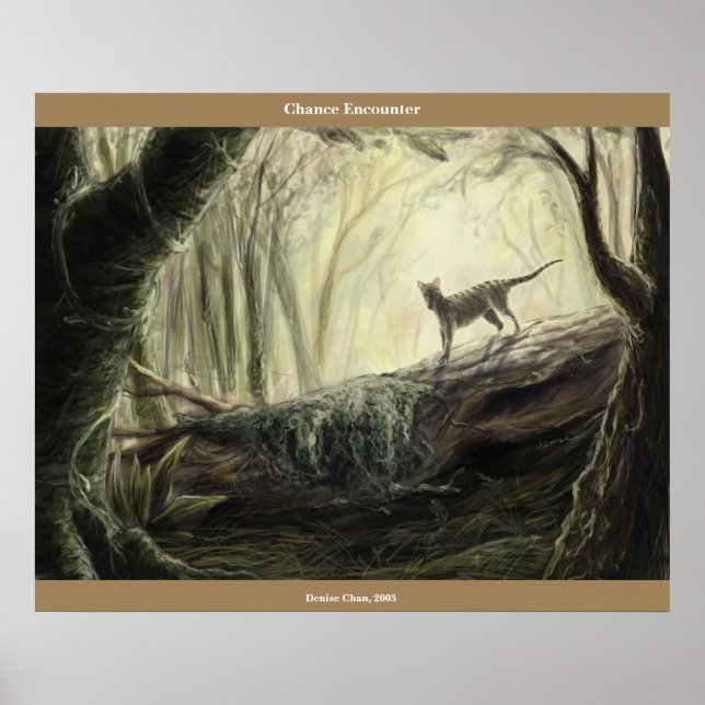 Póster Encontro de Chance (Frente)