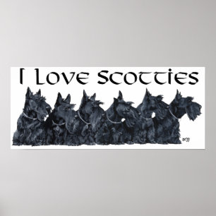 Póster Encontro de Scottish Terrier