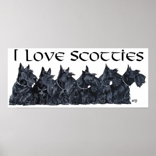 Póster Encontro de Scottish Terrier (Frente)