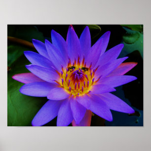 Poster Encontro Secreto