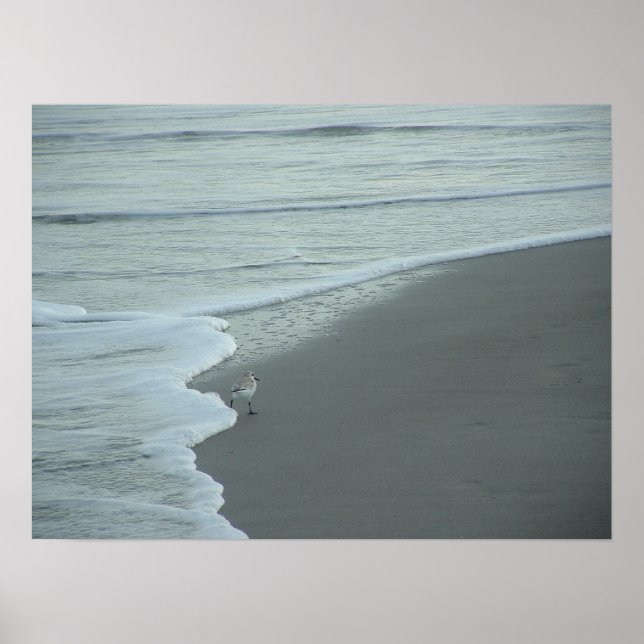 Póster Encostando o Fractal (Frente)