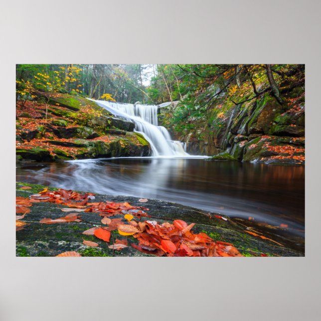 Poster Ender's Falls in Fall (Frente)