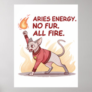 Poster Energia de Áries Gato Sphynx Sem Pelo Toda Fogo Ar