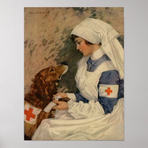 Póster Enfermeira da guerra com golden retriever 1917 WW1
