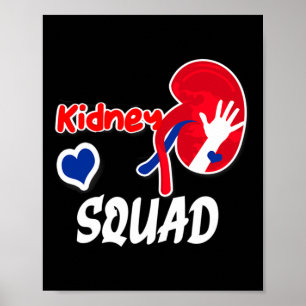 Poster Enfermeira de Nefrologia em Esquadrão Renal Técnic