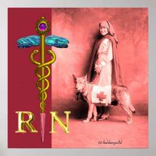 Póster ENFERMEIRA E CÃO DE RESGATE /Emblema RN Caduceu Do