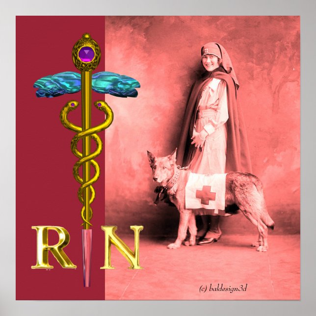 Póster ENFERMEIRA E CÃO DE RESGATE /Emblema RN Caduceu Do (Frente)