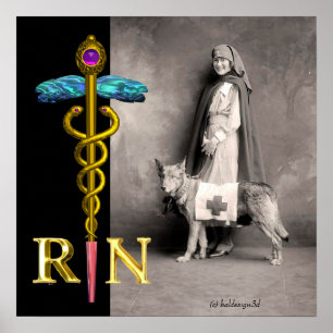 Póster ENFERMEIRA E CÃO DE RESGATE /Emblema RN Caduceu Do