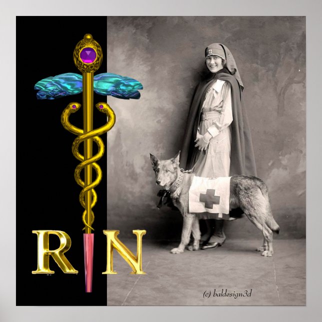 Póster ENFERMEIRA E CÃO DE RESGATE /Emblema RN Caduceu Do (Frente)