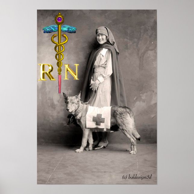 Póster ENFERMEIRA E CÃO DE RESGATE /Emblema RN Caduceu Do (Frente)