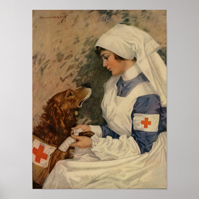 Póster Enfermeiro de Guerra com Ouro Retriever 1917 WW1 (Frente)