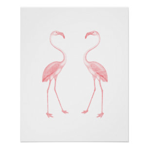 Póster Enfrentando flamingos