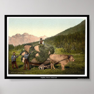 Póster Engadine, Grisons, suiça