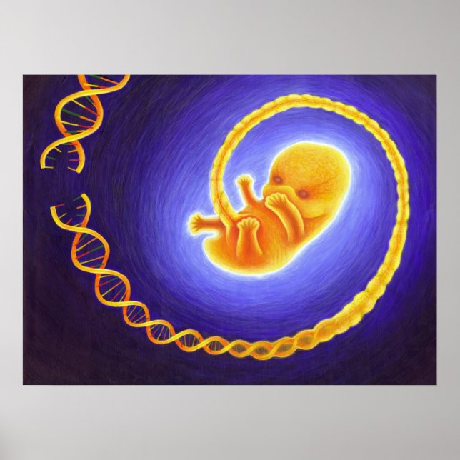 Póster Engenharia Genética (Frente)