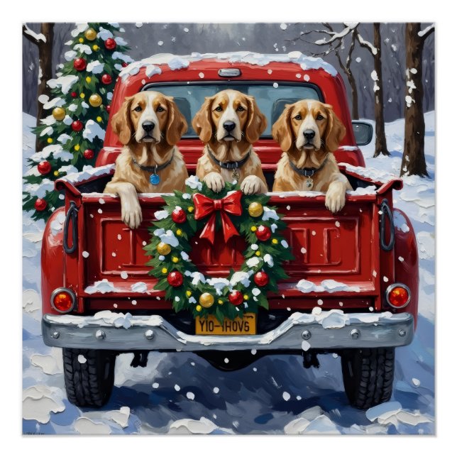 Póster English Setter Christmas Red Truck Holiday (Frente)