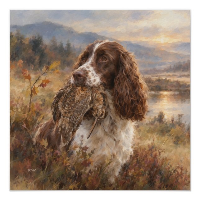 Póster English Springer Spaniel  (Frente)