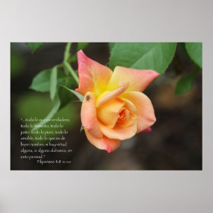 Póster Engodo rosa do 4:8 de Filipenses