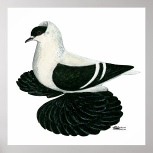 Póster Engole: Bar Branco Negro Saxão